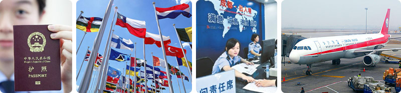 出入境咨詢服務(wù)